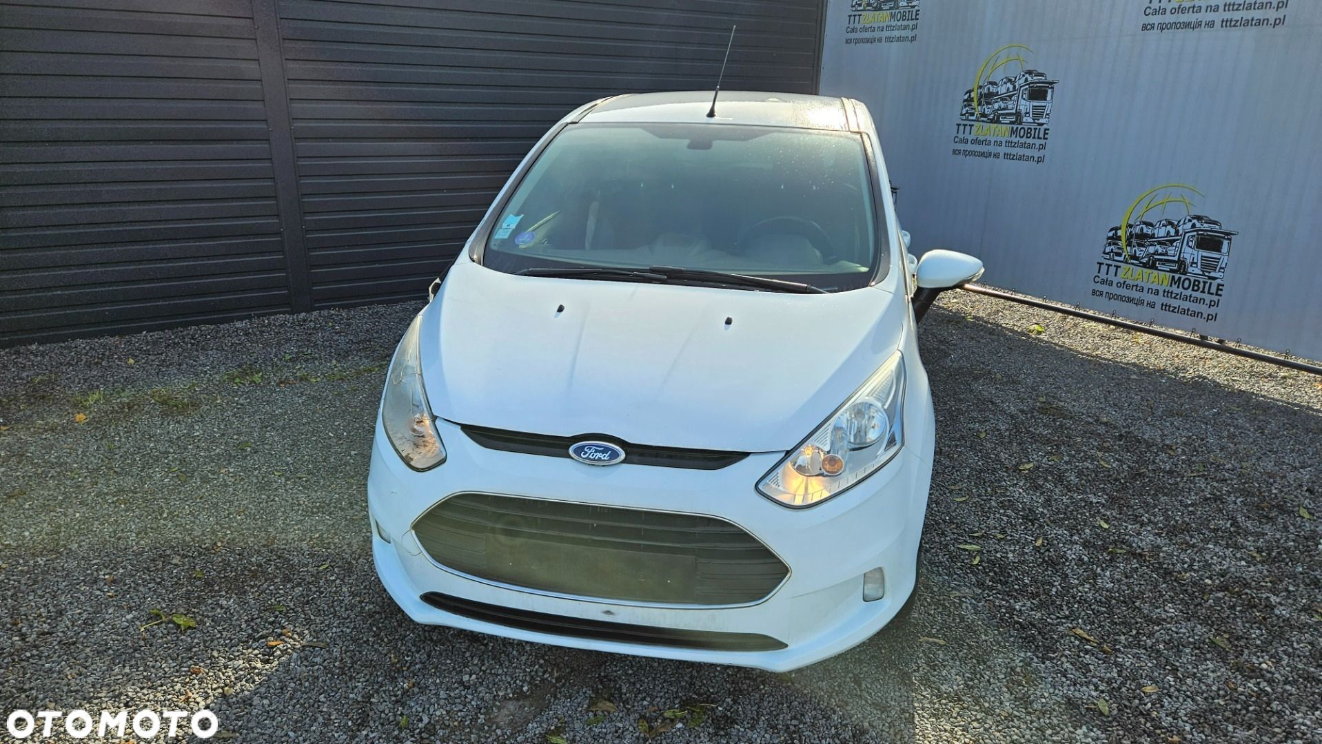 Ford B-MAX - 1