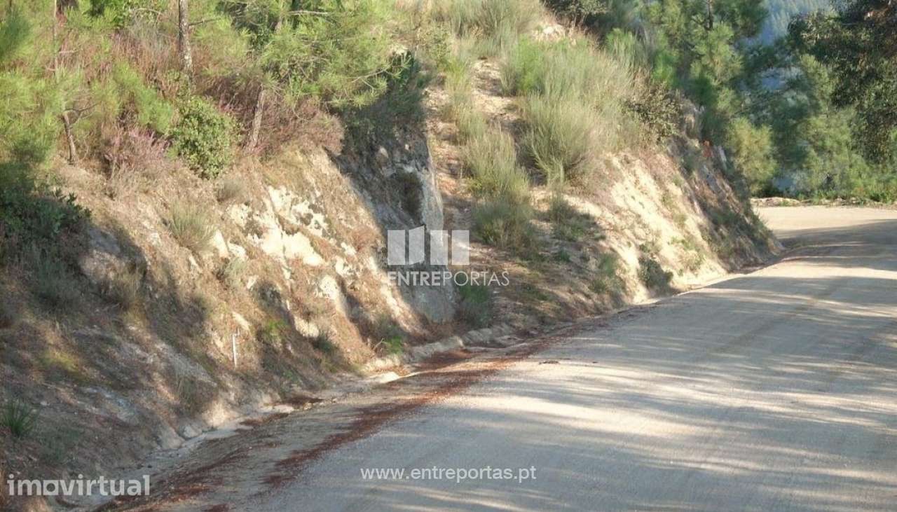 Venda Terreno, Ancede, Baião - Grande imagem: 2/7