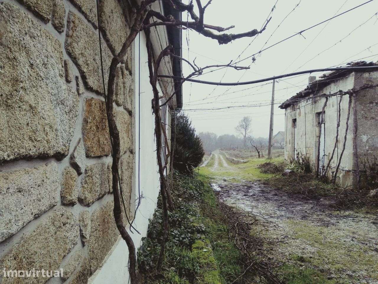 Quinta da Ribeira - Chaves - Grande imagem: 2/19