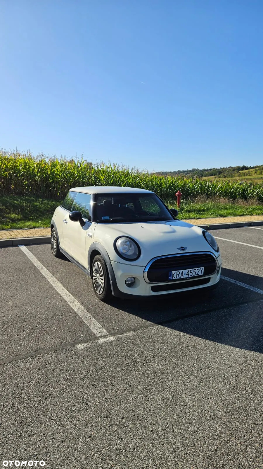 MINI ONE Standard - 2