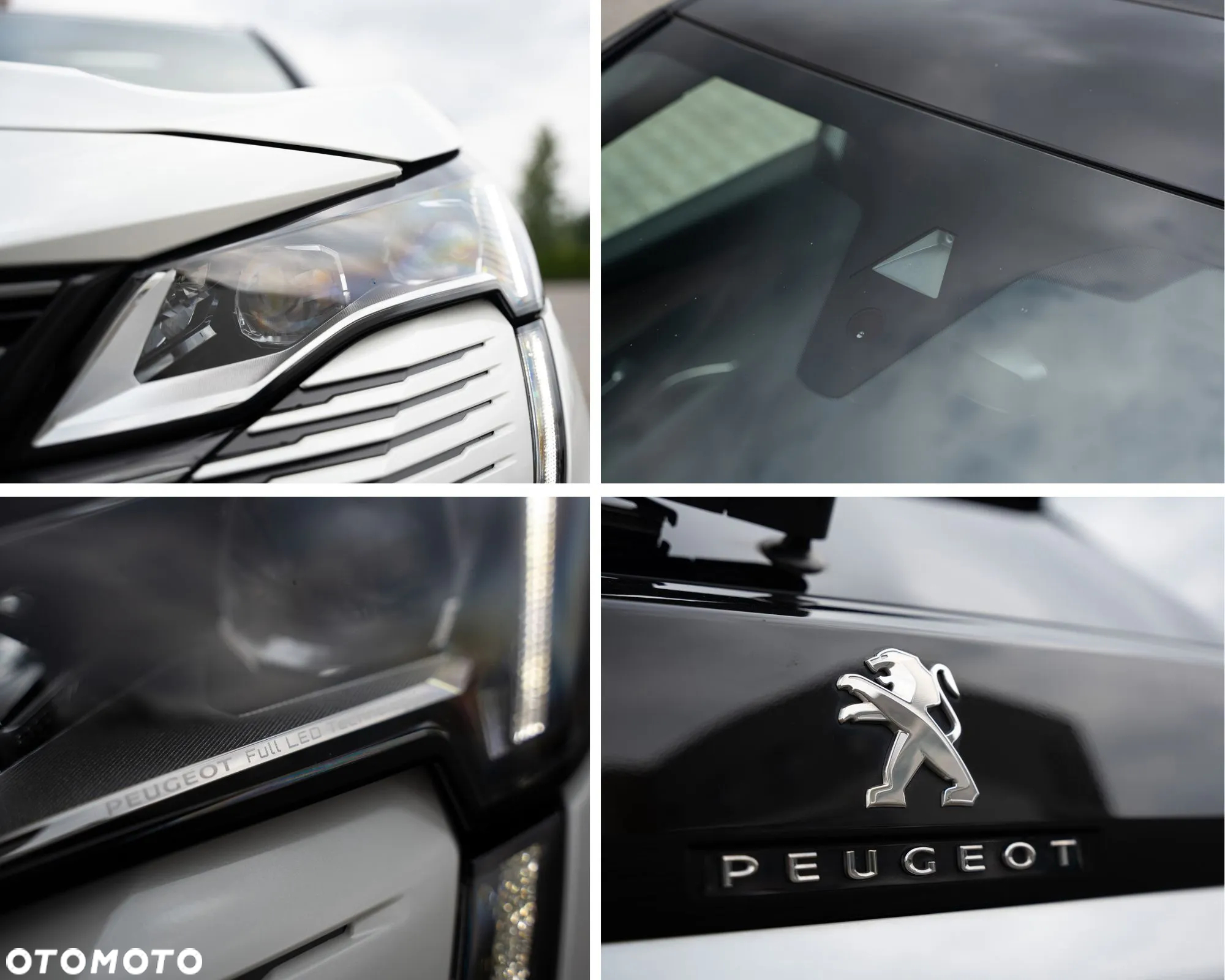 Peugeot 3008 Hybrid4 300 e-EAT8 GT - 19