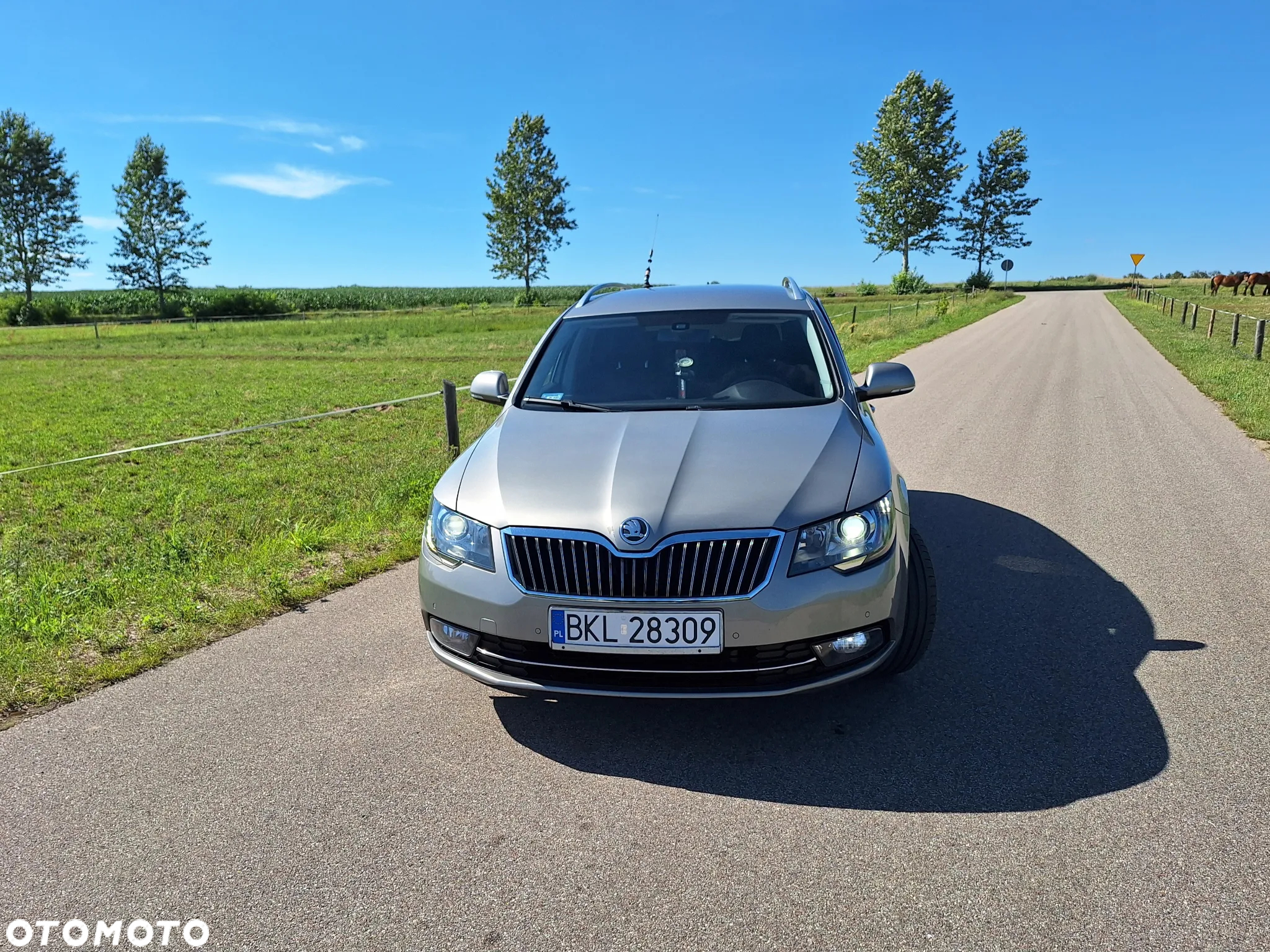 Skoda Superb 2.0 TDI 4x4 Platinum DSG - 5