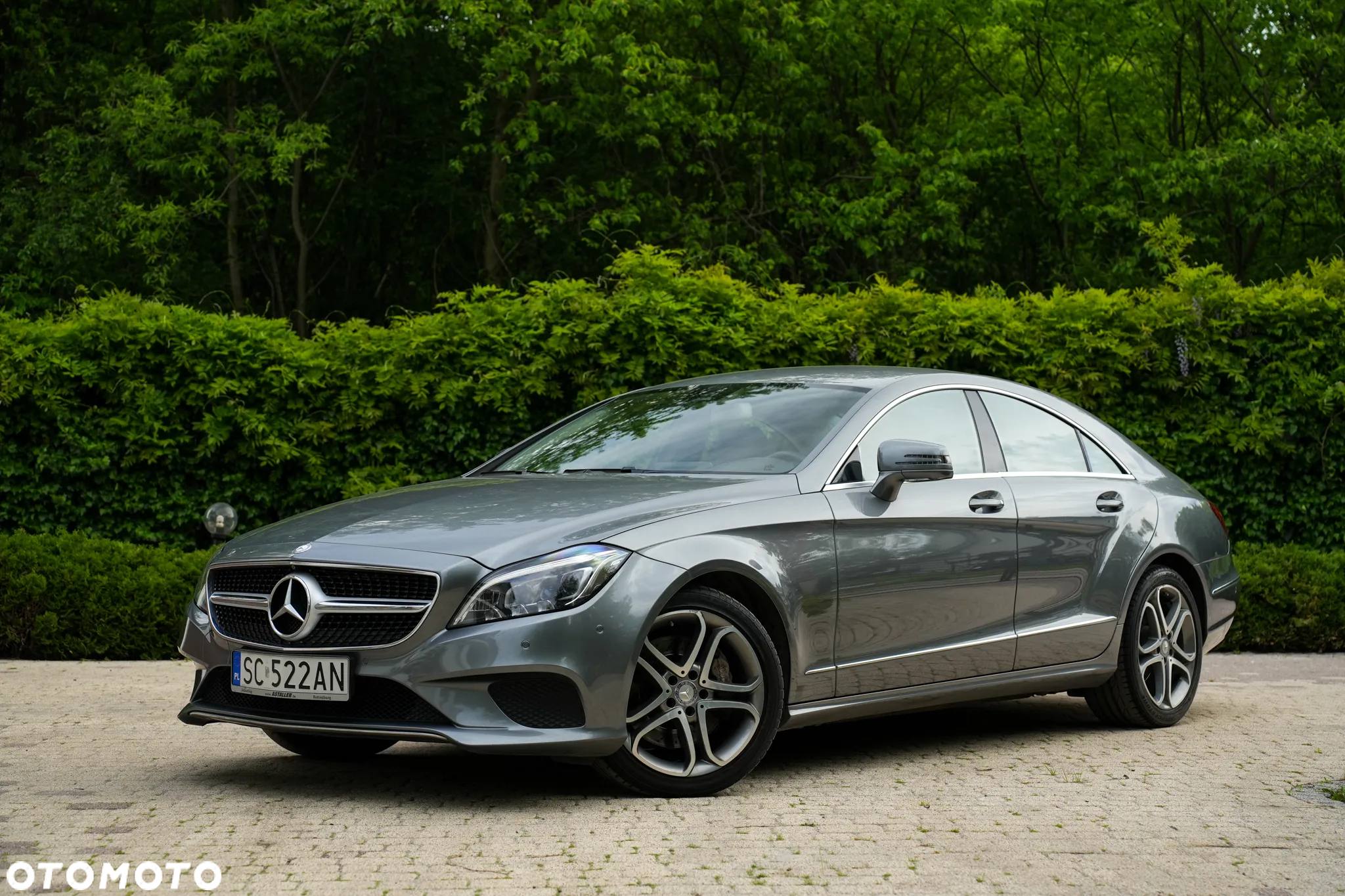 Mercedes-Benz CLS 350 (BlueTEC) d - 2