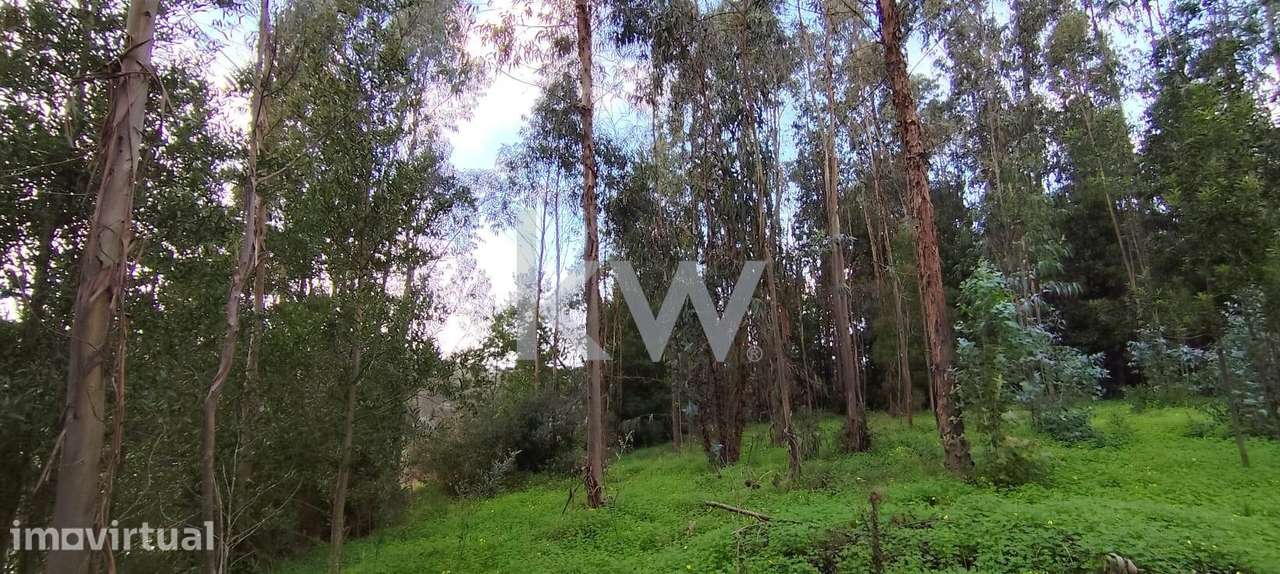 Terreno 1360 m2 – Potencial Estratégico na Zona Norte de Coimbra - Grande imagem: 5/12