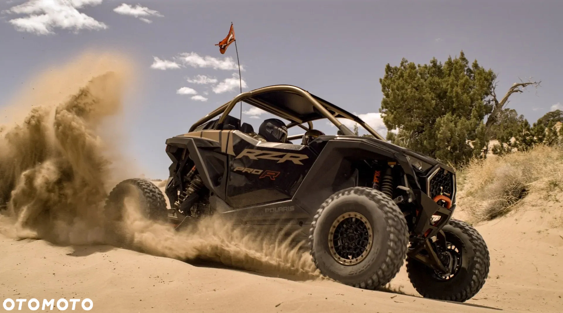 Polaris RZR - 15