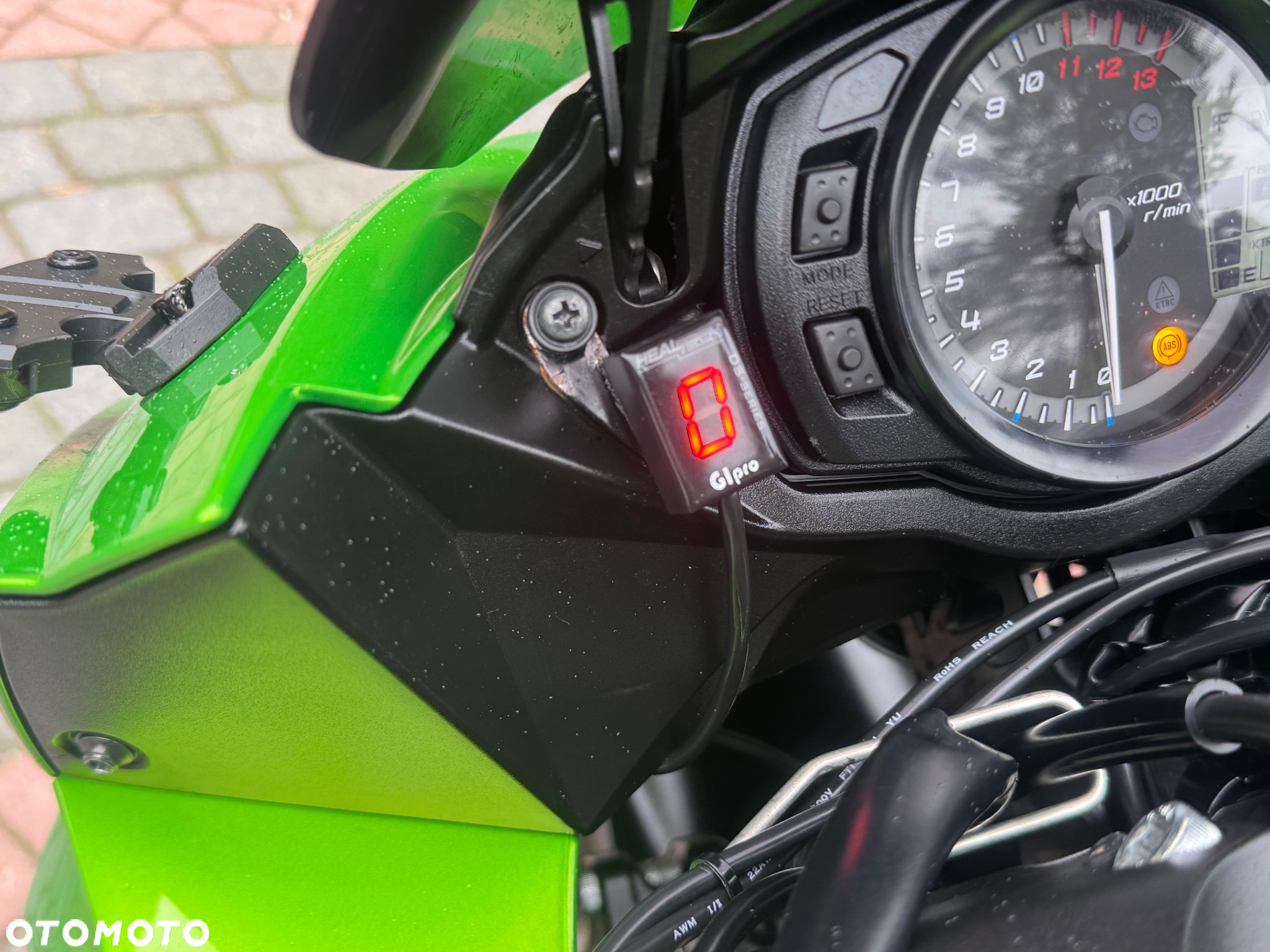 Kawasaki Z - 31