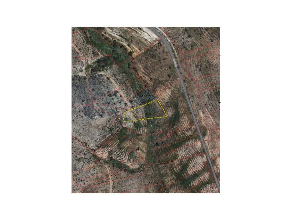 Conjunto de Terrenos Rústicos com 21.120 m² em Mação - Potencial Fl... - Grande imagem: 2/4