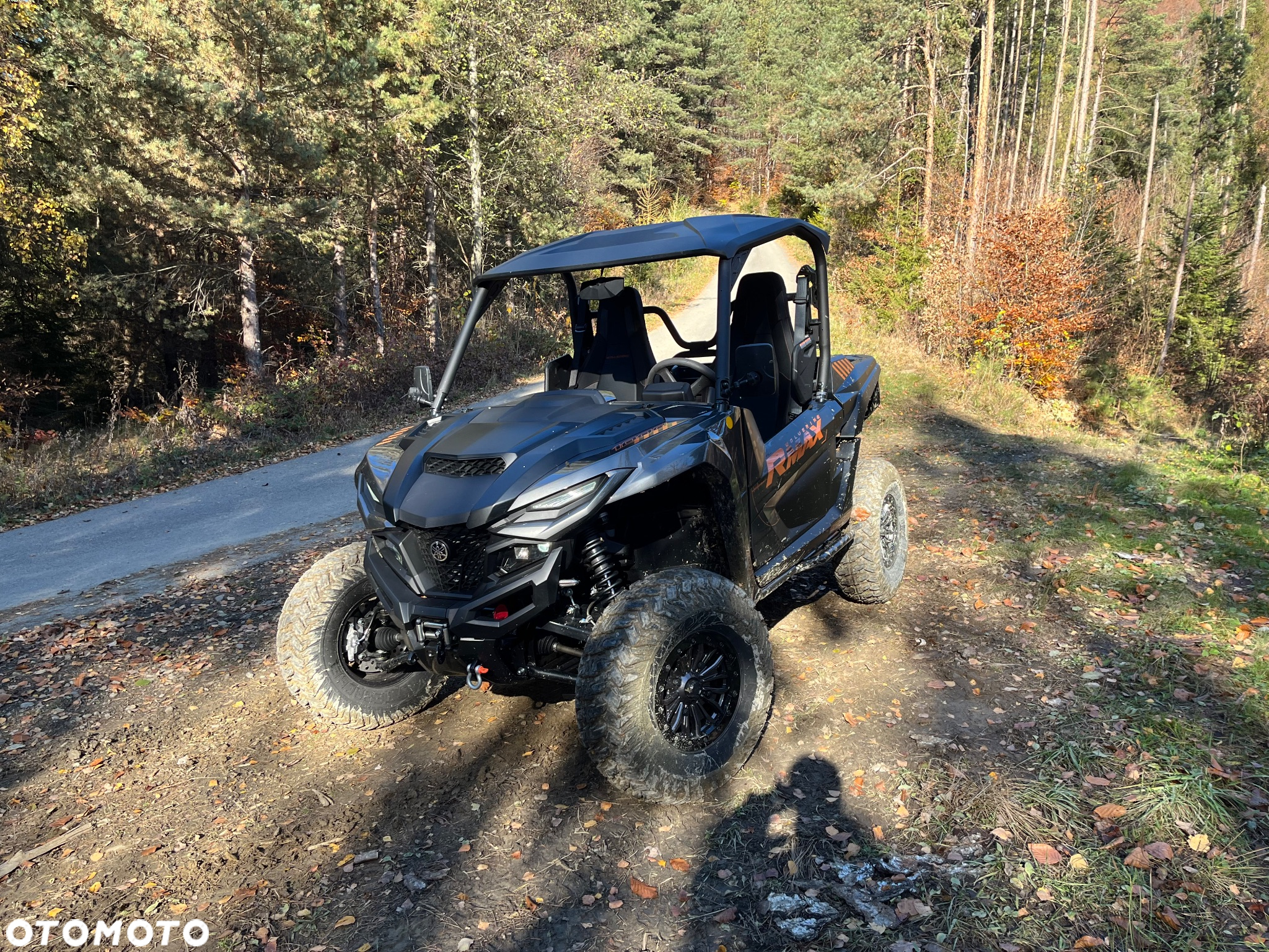 Yamaha Wolverine