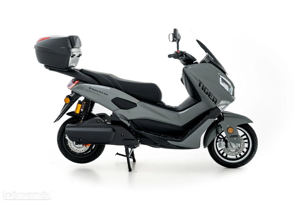 Efun Tiger - 16