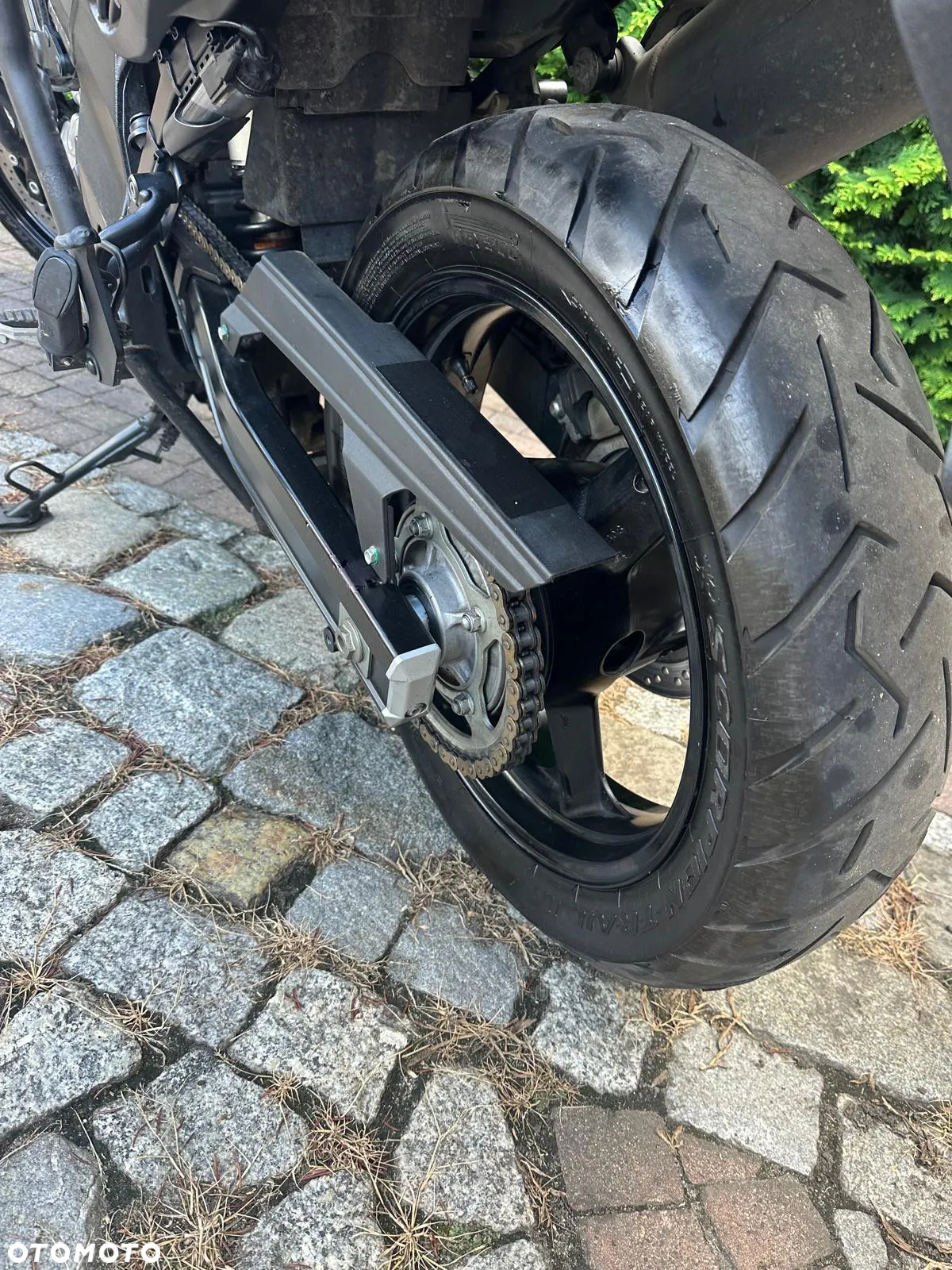 Suzuki DL - 6