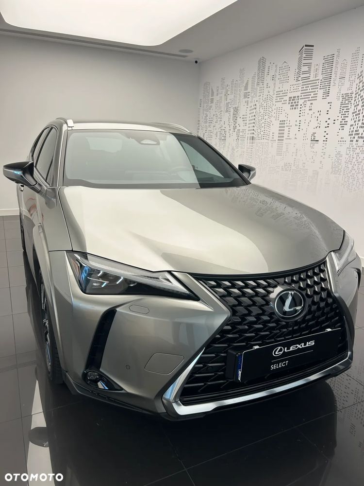 Lexus UX 300h Omotenashi - 1