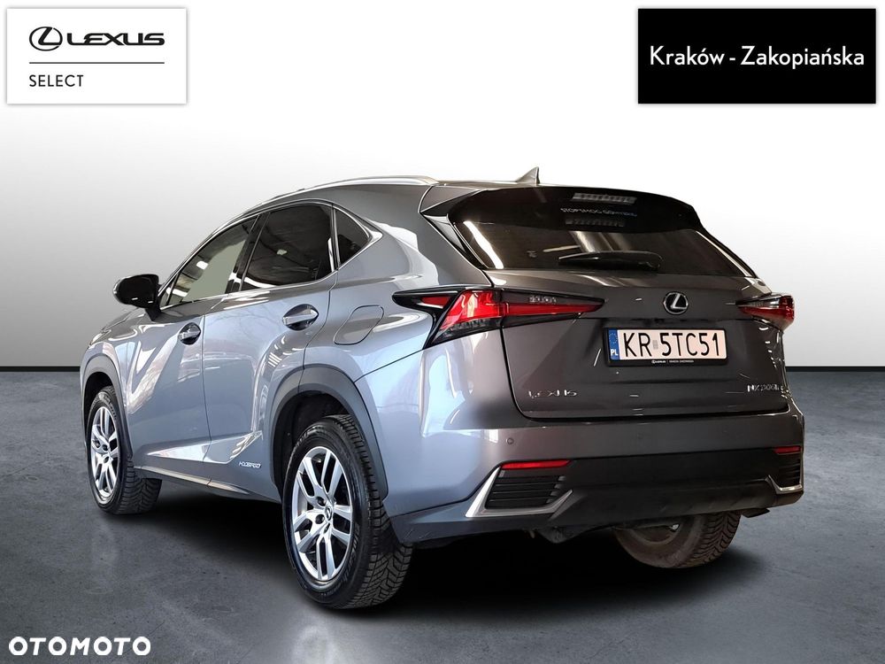 Lexus NX 300h Business Edition AWD - 8