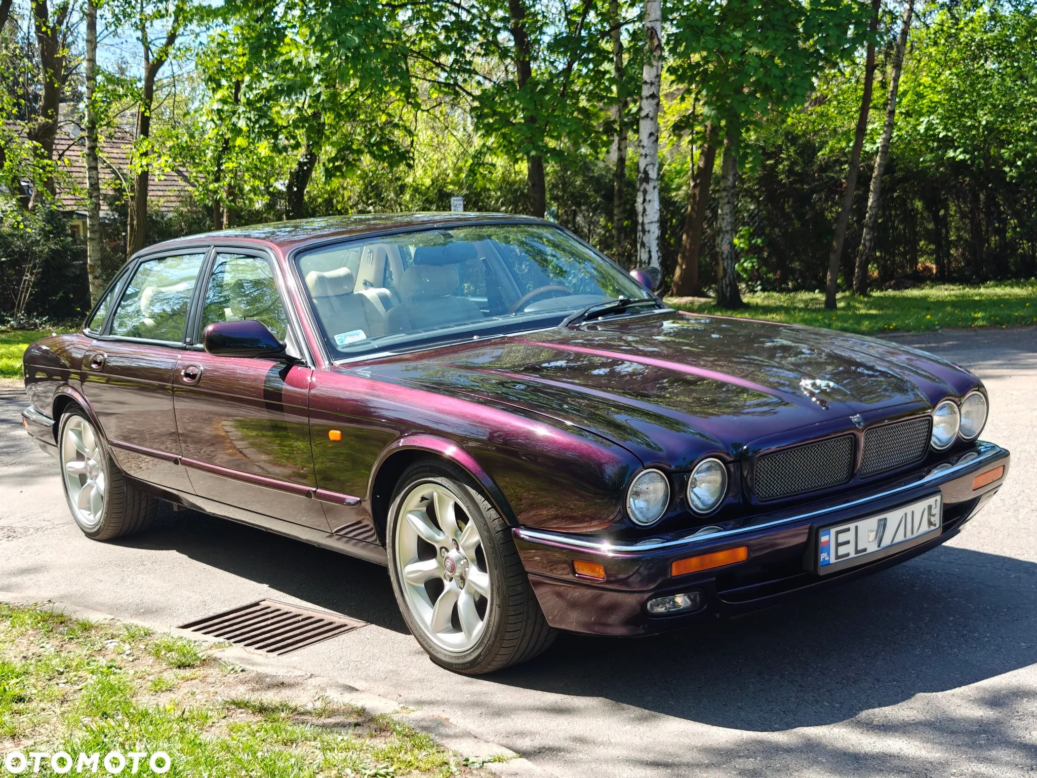 Jaguar XJR - 1