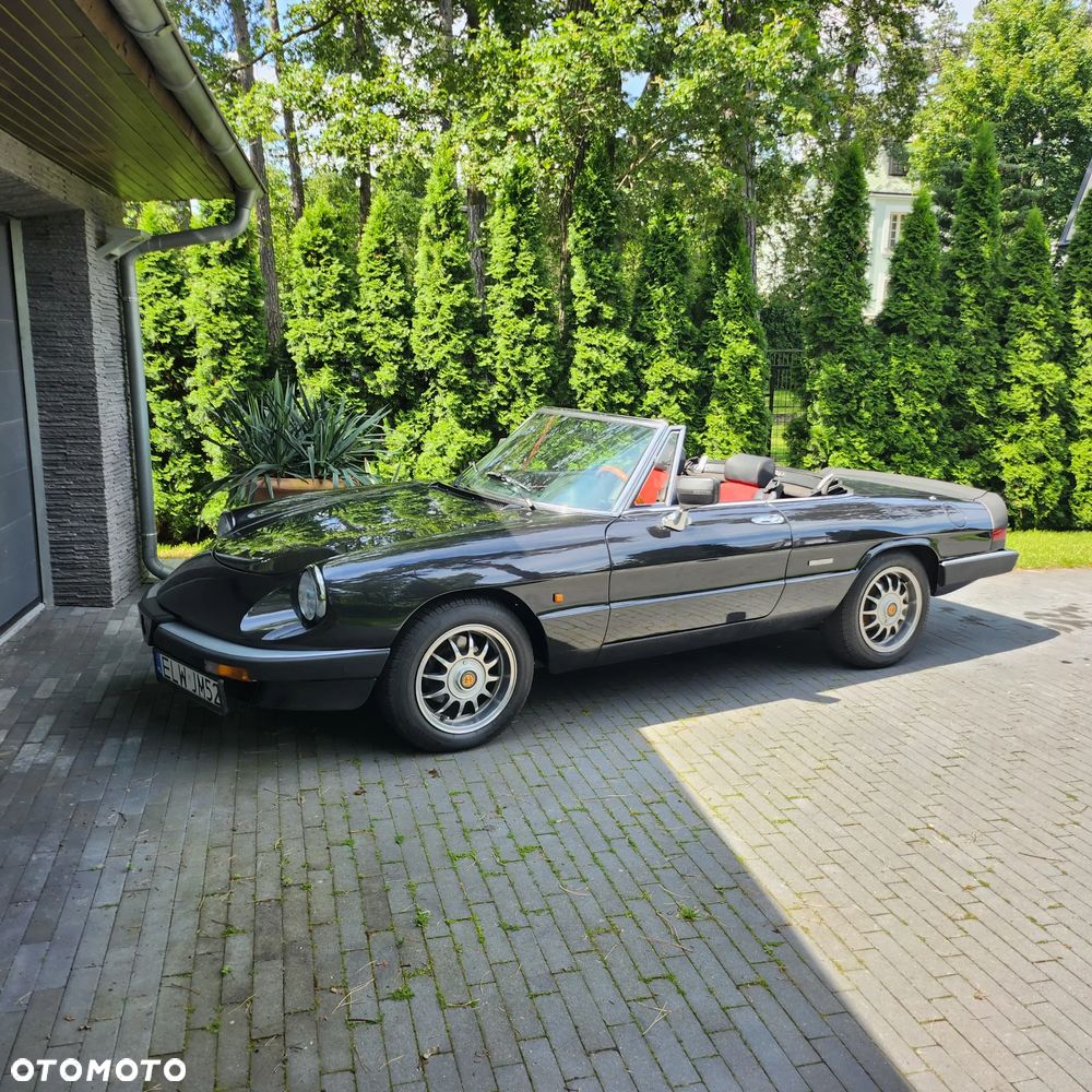 Alfa Romeo Spider - 2