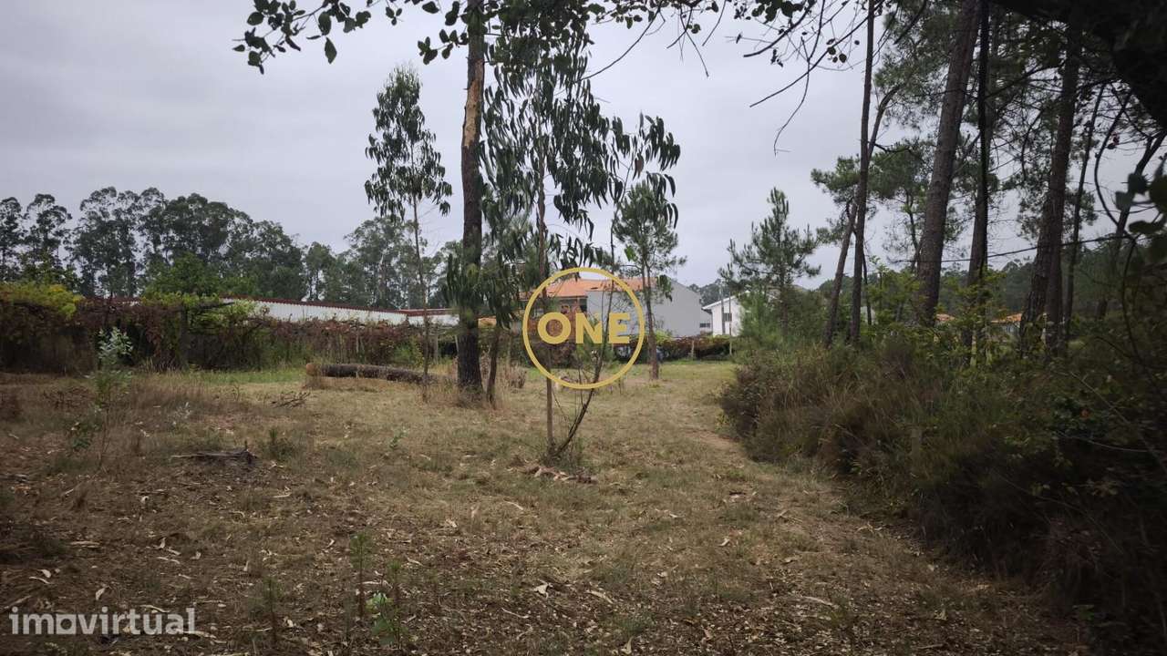 Terreno Rústico em Cristelo - Grande imagem: 2/14