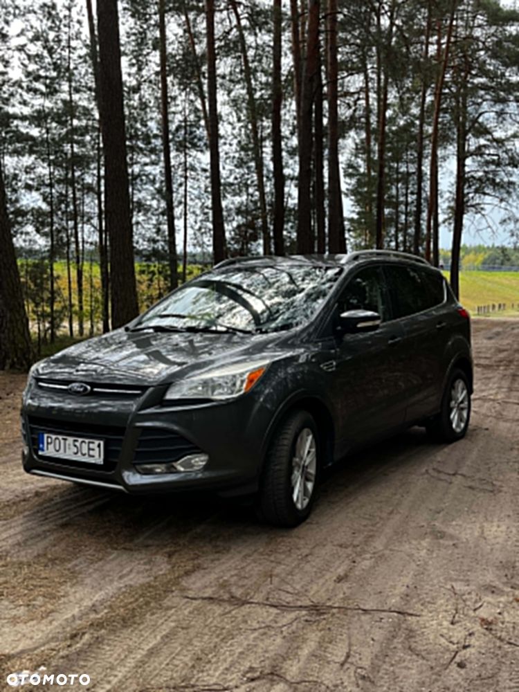 Ford Escape - 1