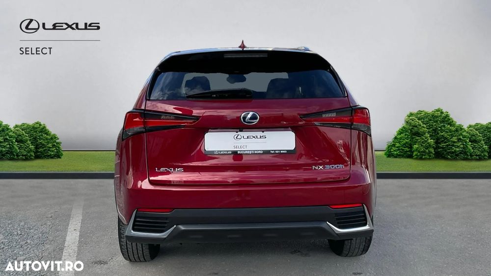 Lexus Seria NX 300h AWD Executive Plus - 2
