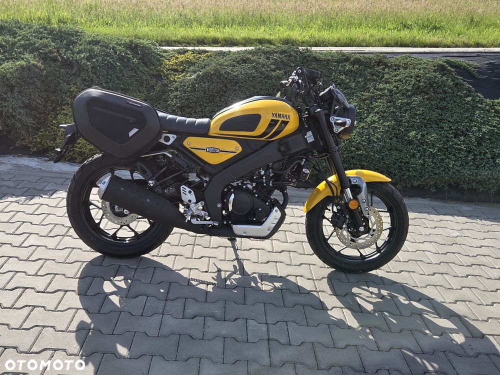 Yamaha XSR - 8