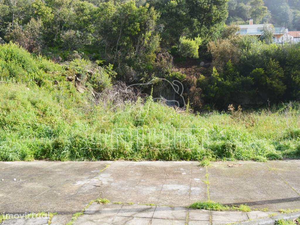 Lote Venda Viana do Castelo - Grande imagem: 2/2