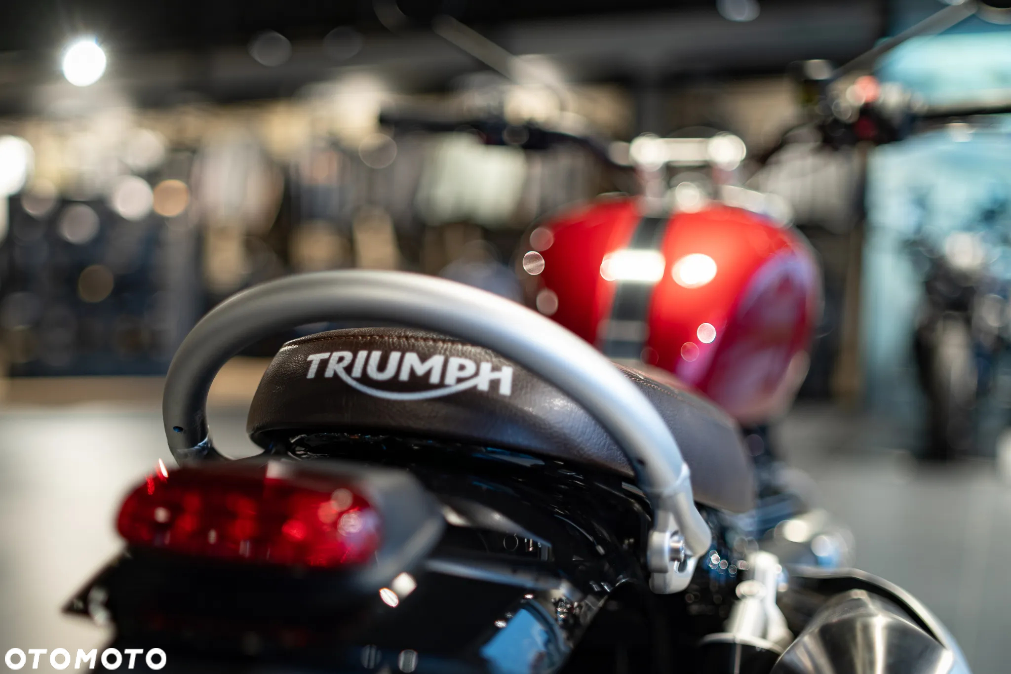 Triumph Scrambler - 14