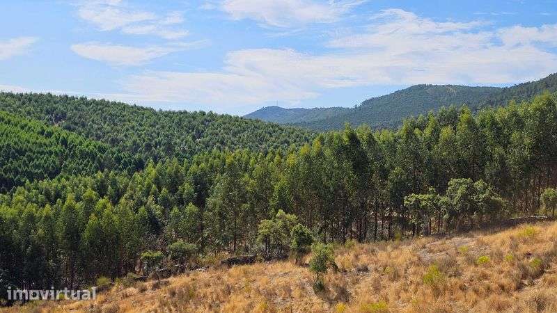 Terreno Rústico com 43 Hectares em Nisa, Portalegre - Grande imagem: 2/12