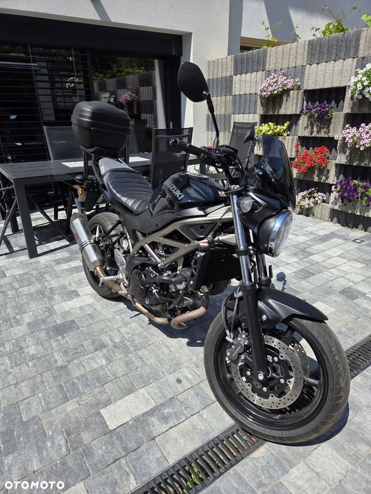 Suzuki SV - 8