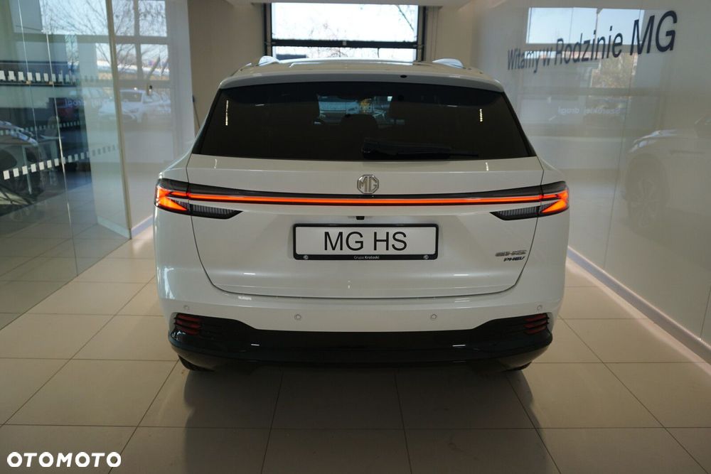 MG EHS - 19