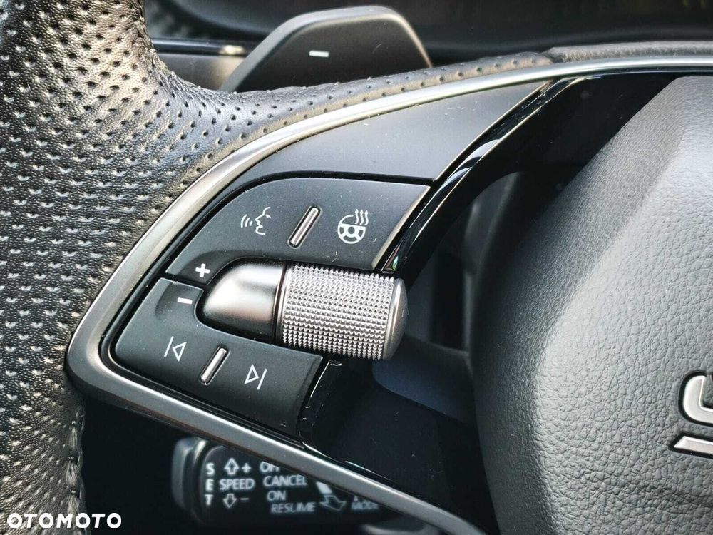 Skoda Kamiq 1.5 TSI Monte Carlo DSG - 24
