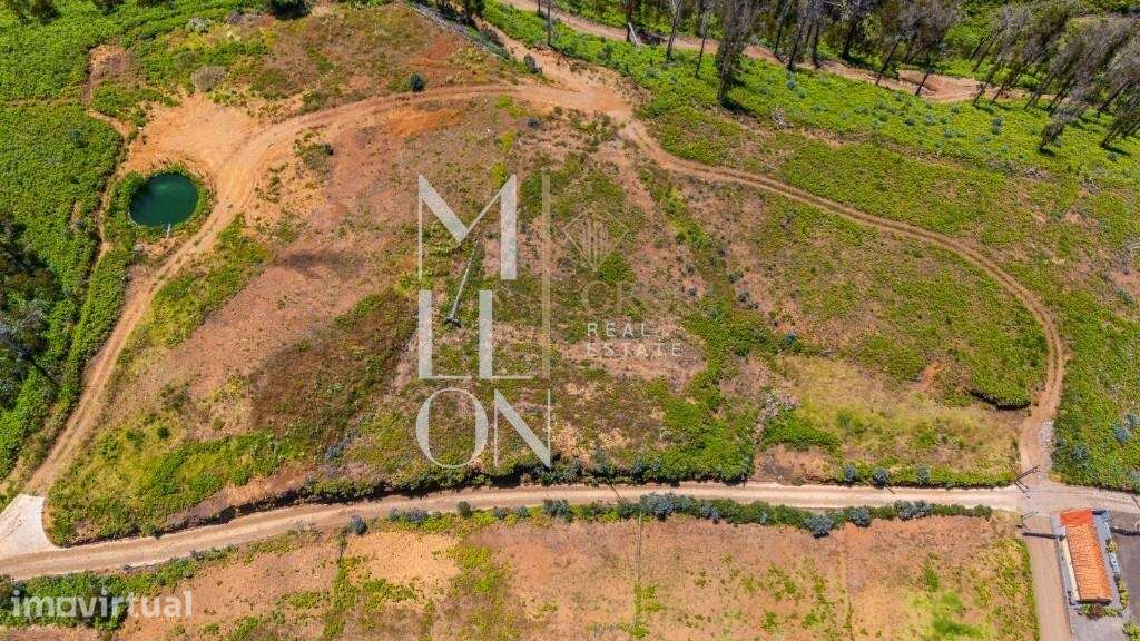 Terreno com Vista Mar e Potencial de Construção — Corujeira, Ponta do - Grande imagem: 2/22