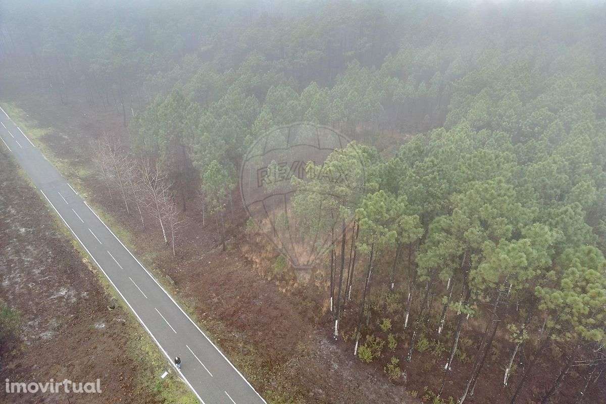 Terreno  para venda - Grande imagem: 2/11