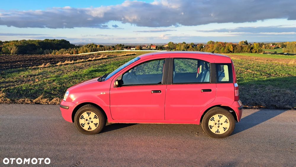 Fiat Panda - 2