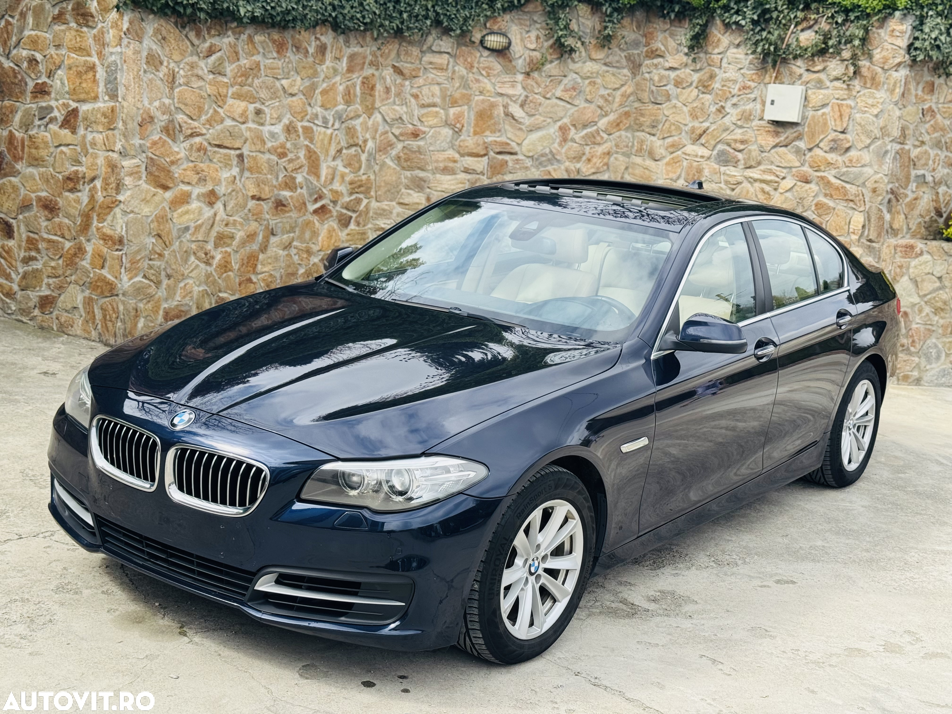 BMW Seria 5 520d Aut. Luxury Line - 12
