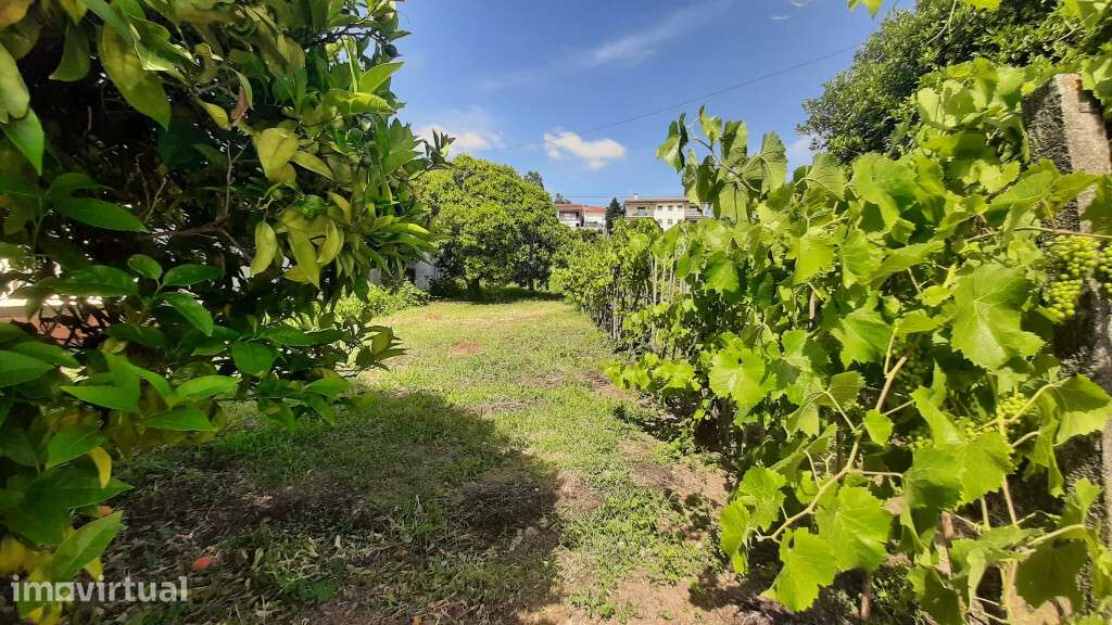 Terreno localizado em Antanhol, Coimbra - Grande imagem: 4/4