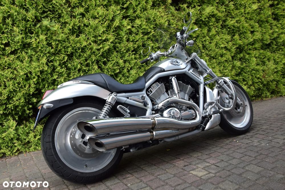 Harley-Davidson Softail V-Rod - 2
