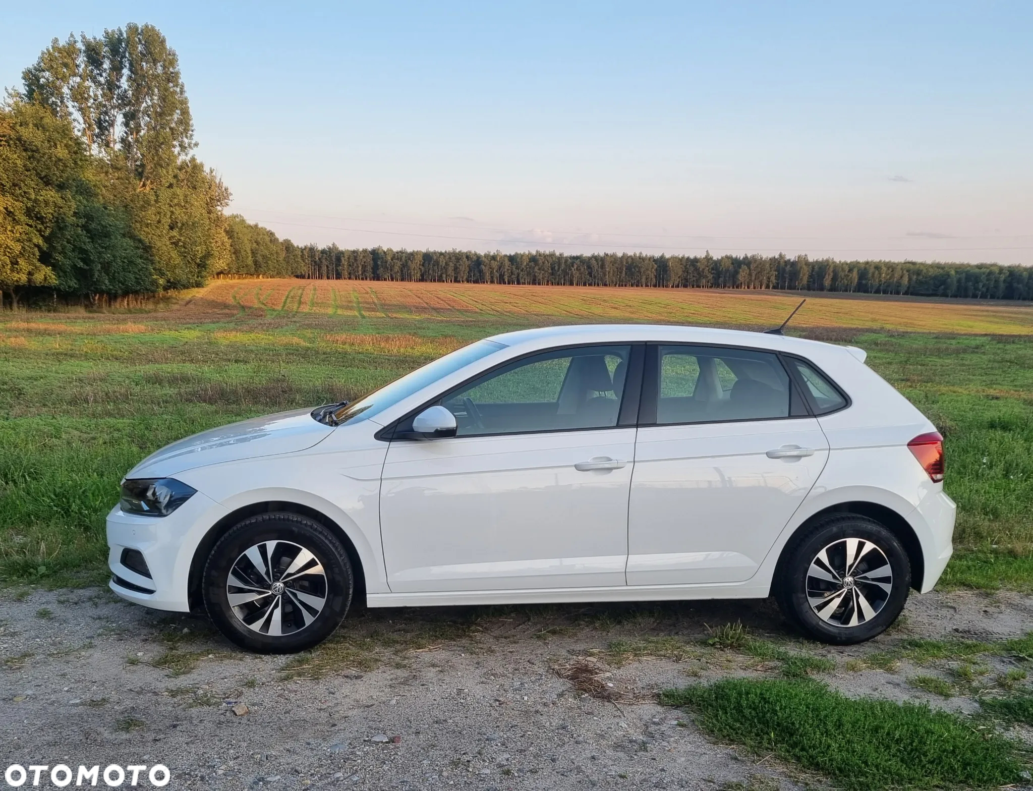 Volkswagen Polo 1.0 TSI Comfortline DSG - 7