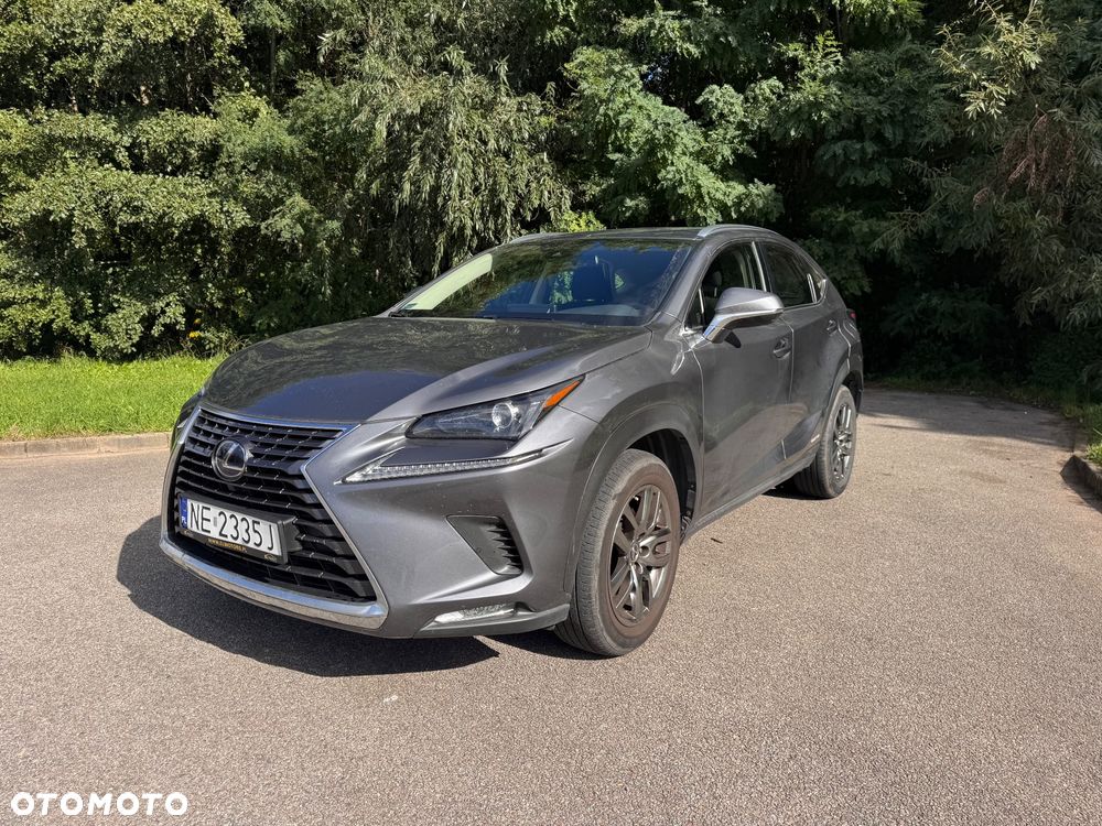 Lexus NX 300h Elegance AWD - 40