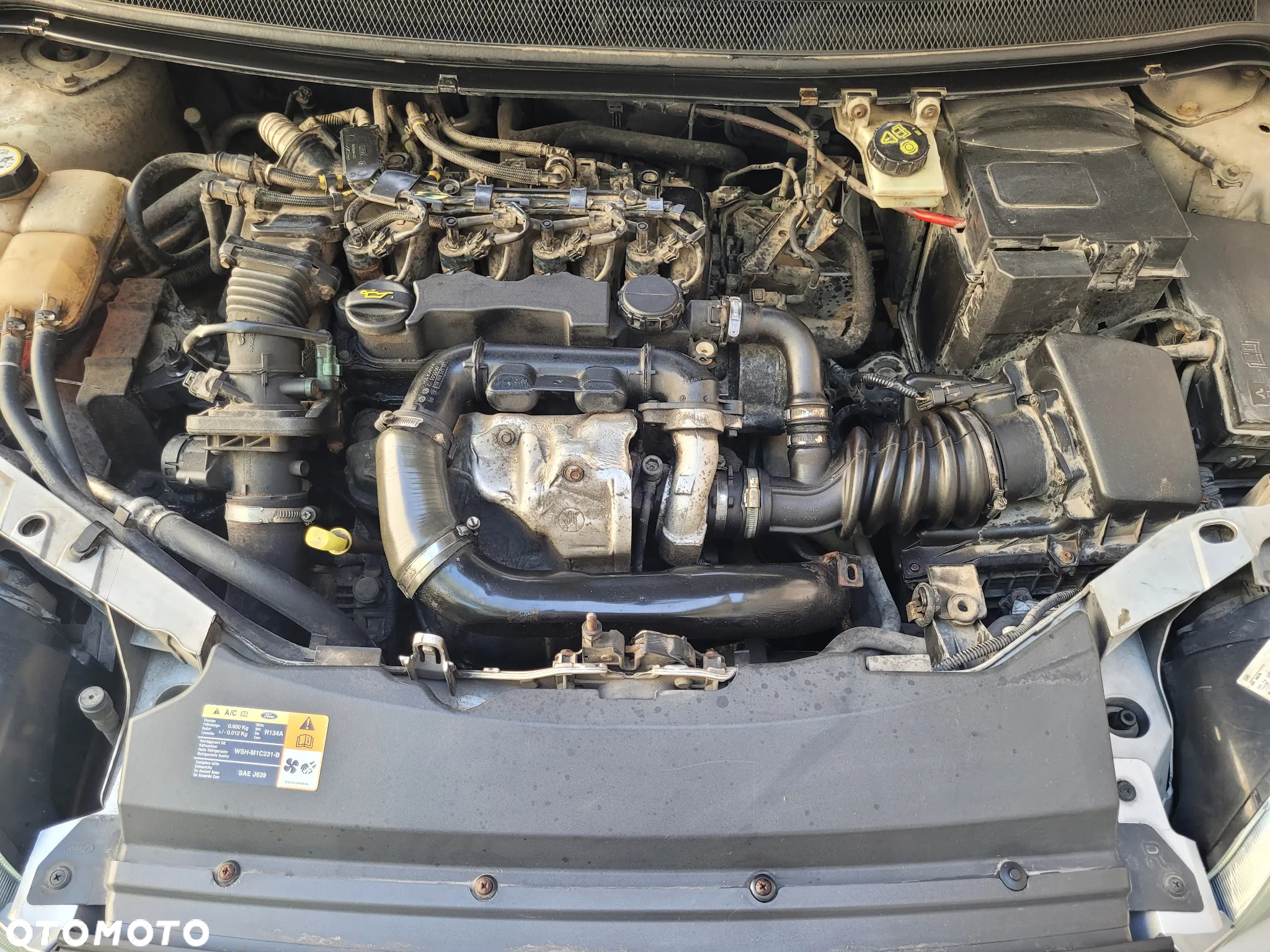 Ford Focus - 9
