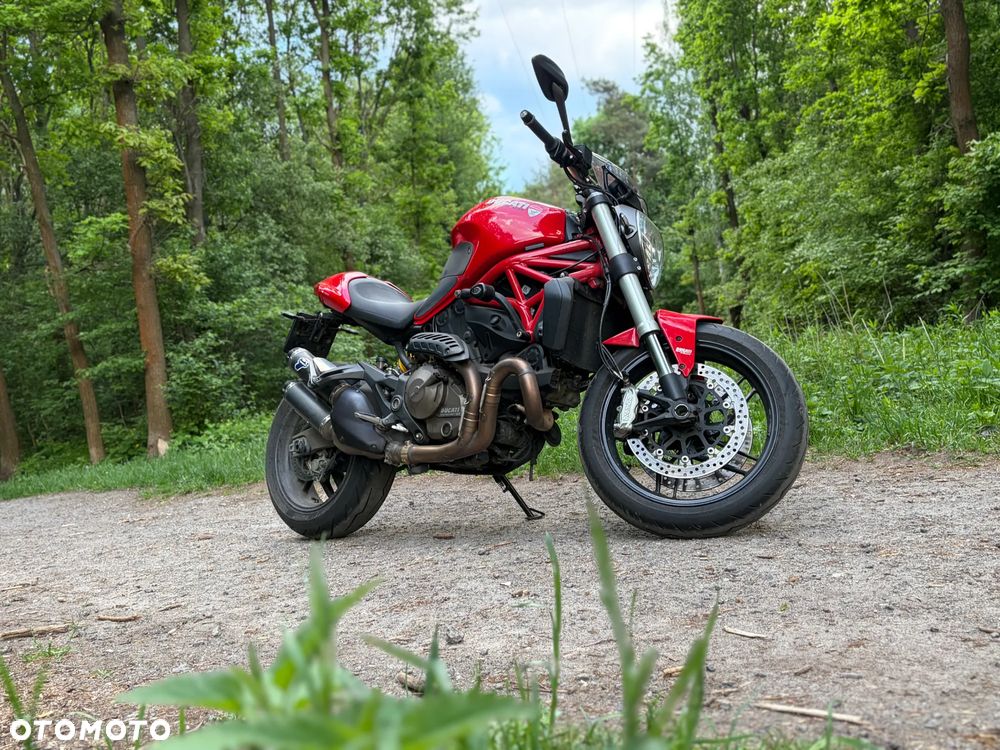 Ducati Monster - 5