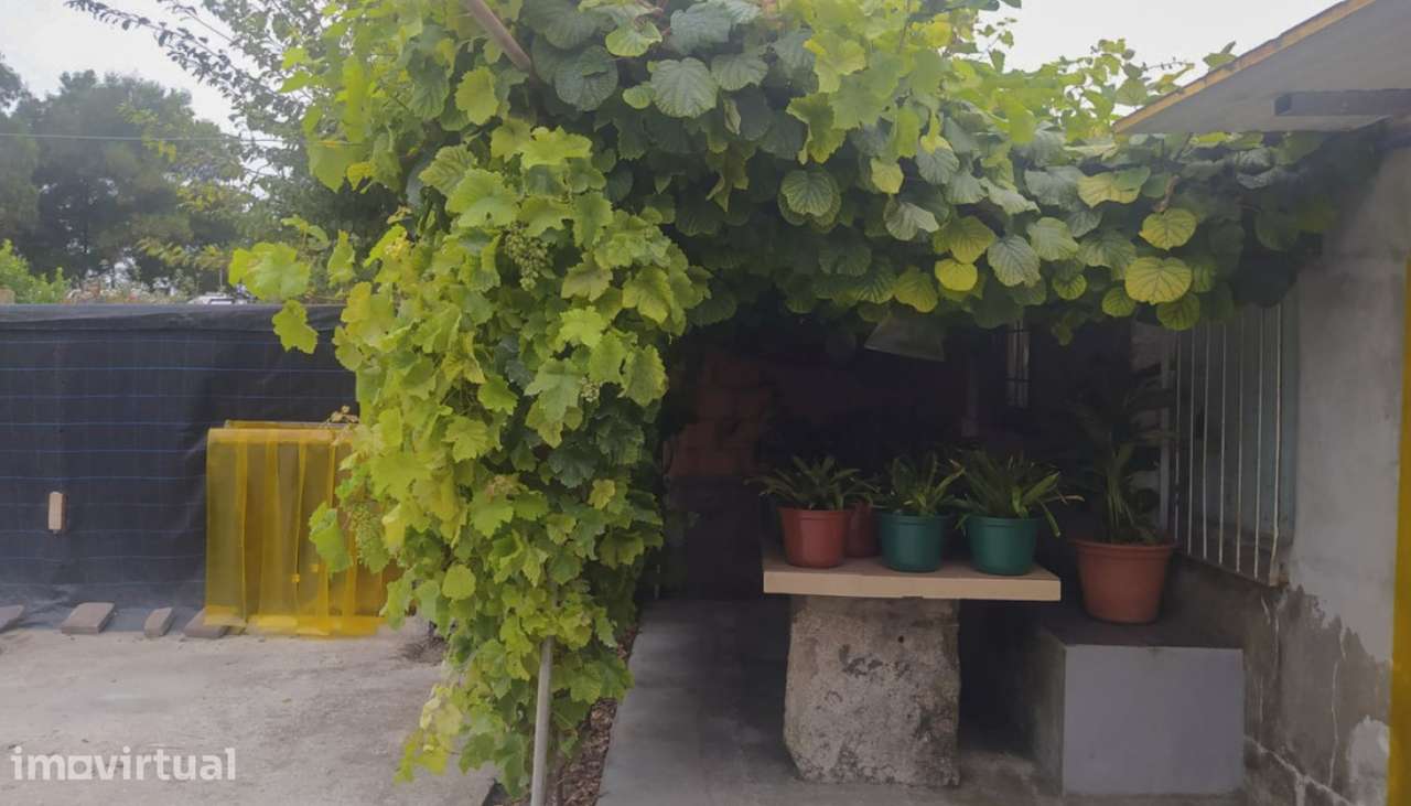 Venda de Moradia V4 térrea, próxima da praia, em Vila Chã, Vila do - Grande imagem: 3/20