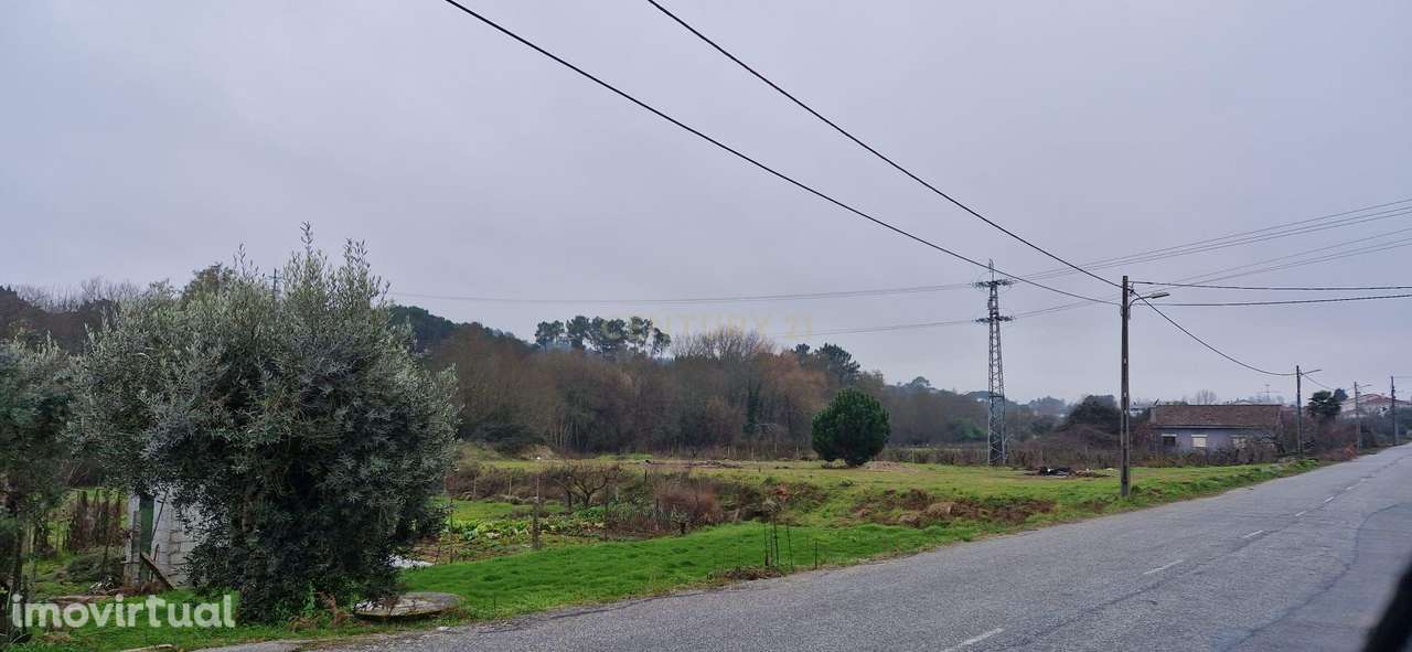 Terreno em São João de Lourosa, Viseu - Oportunidade Única - Grande imagem: 2/8