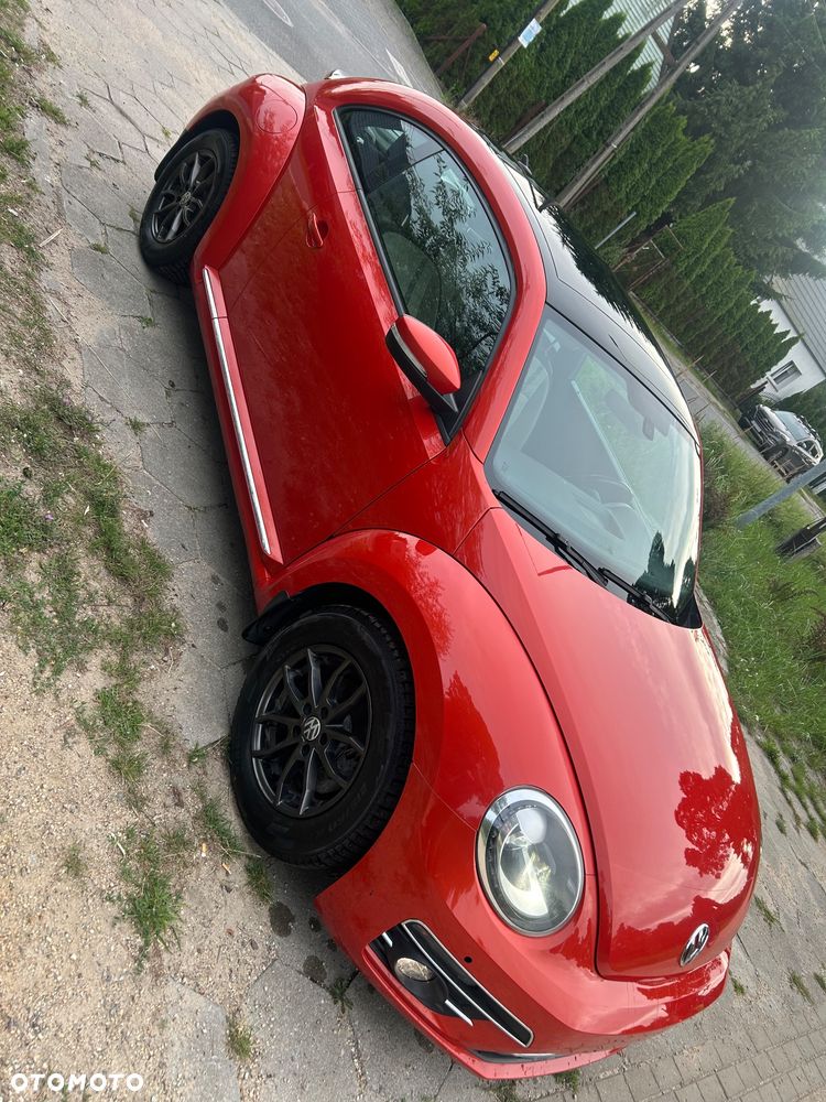 Volkswagen Beetle - 26