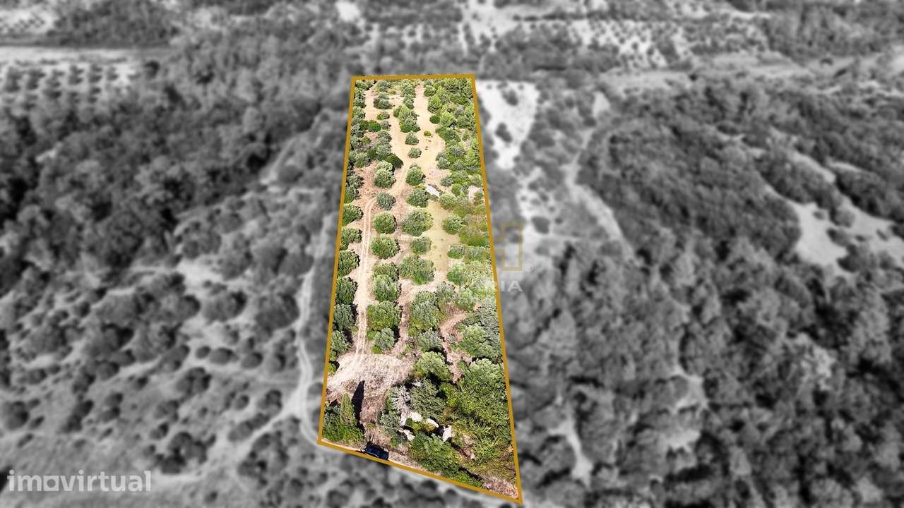 Terreno Para Construção  Venda em Casével e Vaqueiros,Santarém