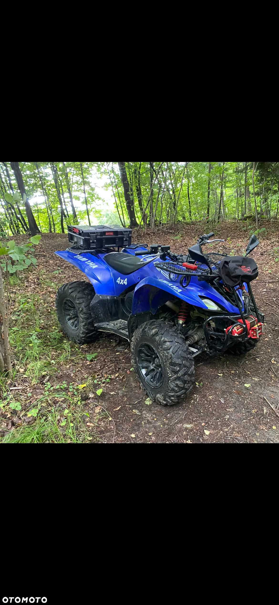 Yamaha Wolverine