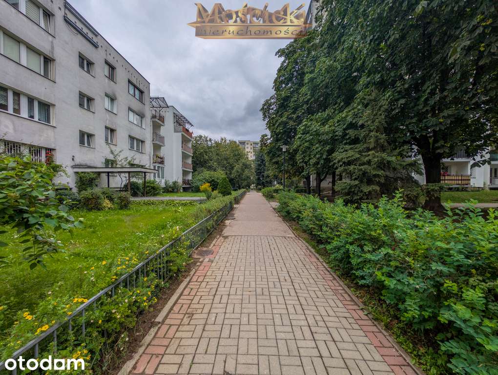Ciche 3 pokoje Meander Metro Natolin wynajem