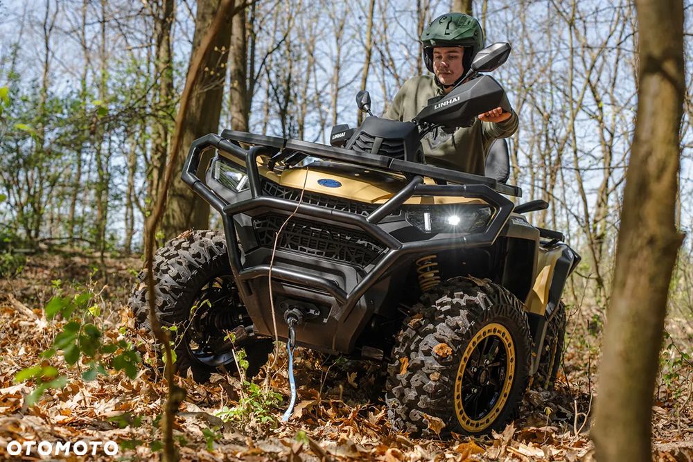 Linhai Landforce 1000L EPS - 5