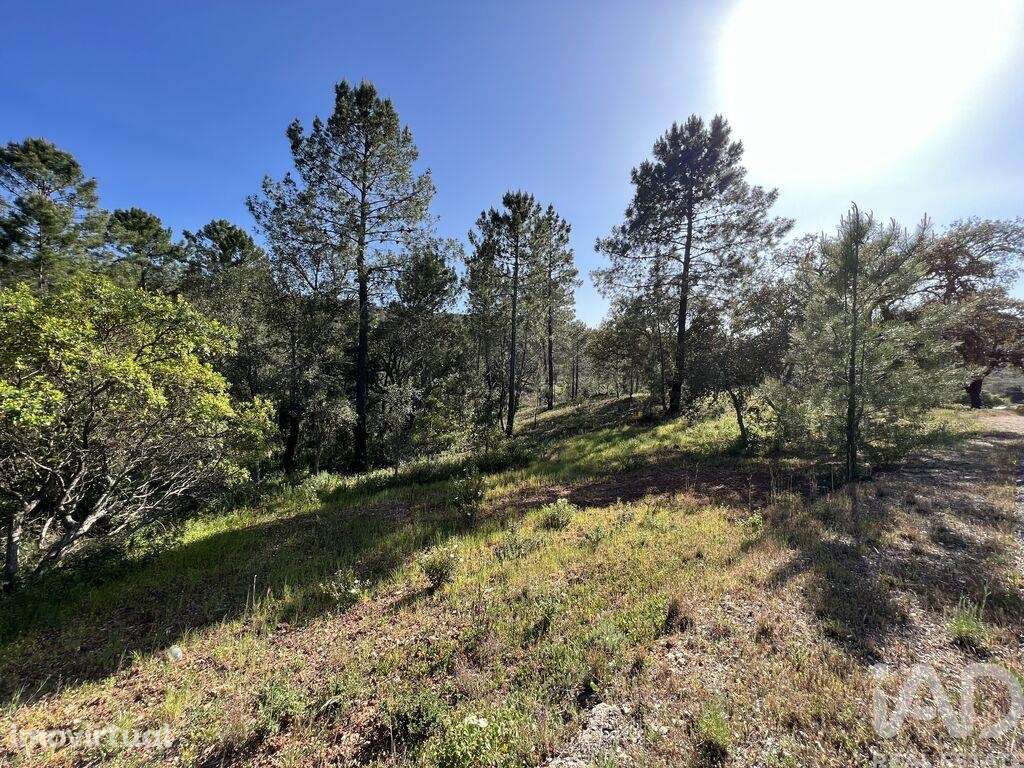 Terreno em Querença, Tôr e Benafim de 1580,00 m2 - Grande imagem: 4/9
