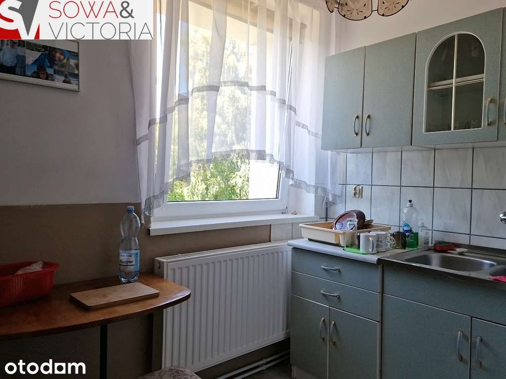 Ogródek, garaż, zieleń, górski widok - Pełny obrazek: 2/13