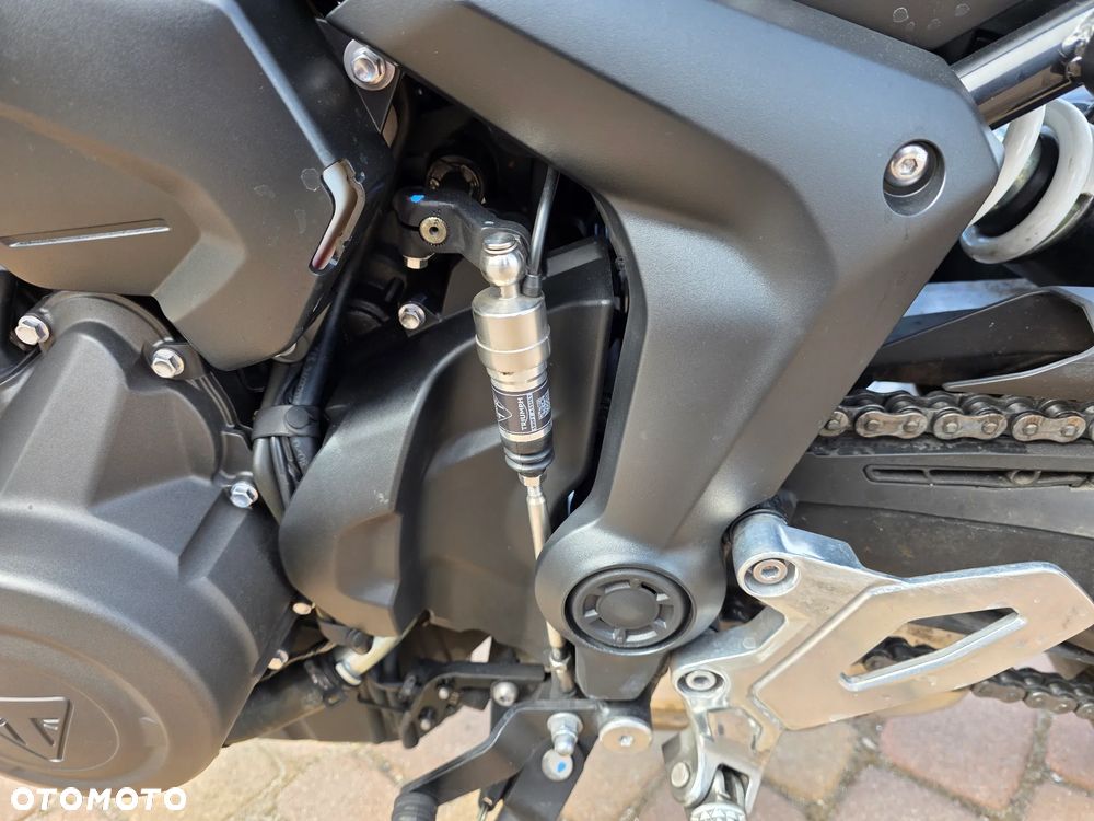 Triumph Tiger - 22