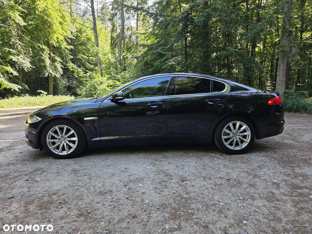 Jaguar XF 3.0 V6 D Luxury - 7