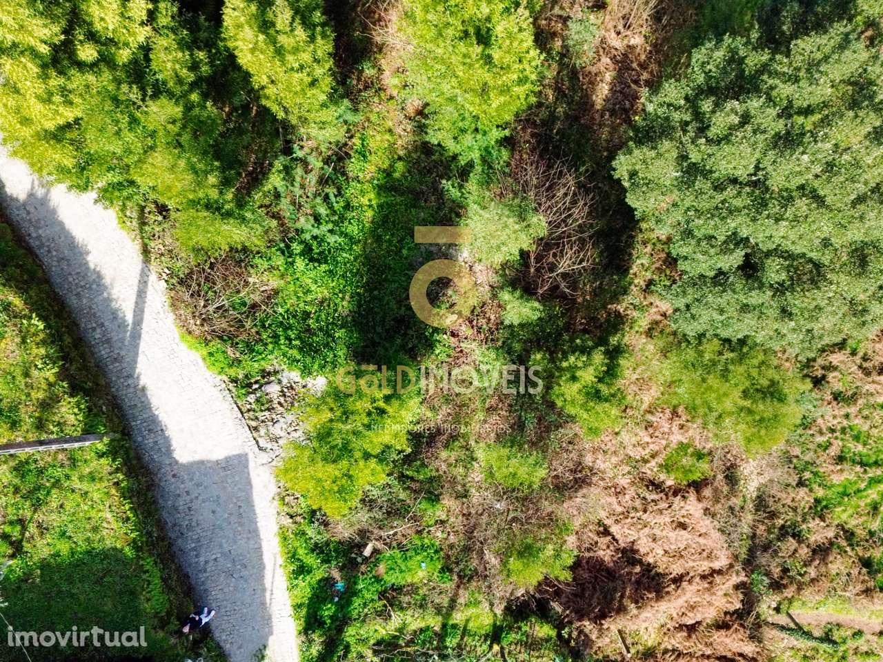 Terreno Para Construção  Venda em Raiva, Pedorido e Paraíso,Castelo de - Grande imagem: 4/6